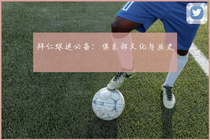 拜仁球迷必备：俱乐部文化与历史