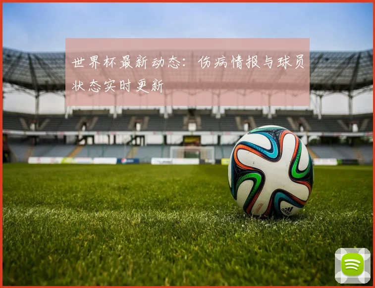 世界杯最新动态：伤病情报与球员状态实时更新