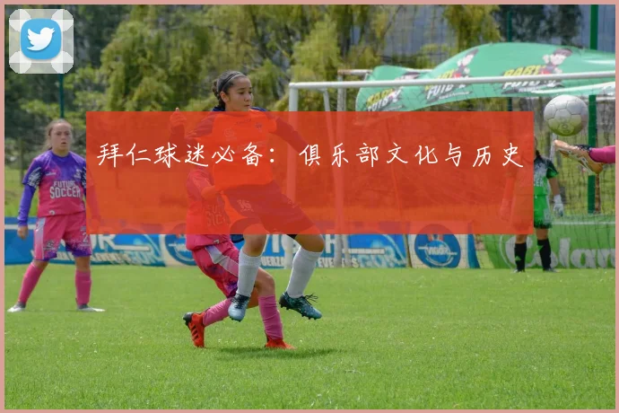 拜仁球迷必备：俱乐部文化与历史